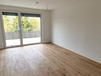 Terrassenwohnung kaufen in 1210 Wien (Bild 3)