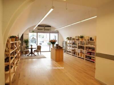 Einzelhandel mieten in 2700 Wr. Neustadt (Bild 1)