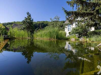 Haus kaufen in 3400 Klosterneuburg