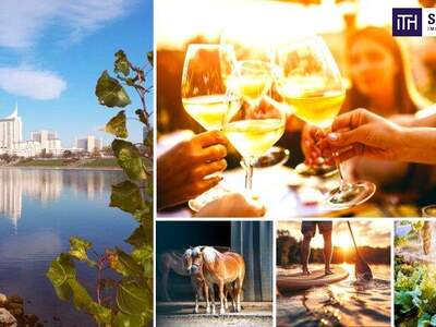 Terrassenwohnung kaufen in 1210 Wien (Bild 4)