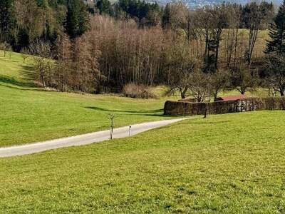 Grundstück kaufen in 4111 Walding