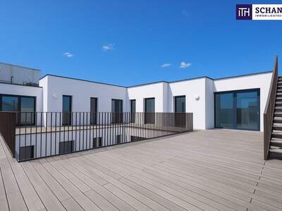 Terrassenwohnung kaufen in 1010 Wien (Bild 3)