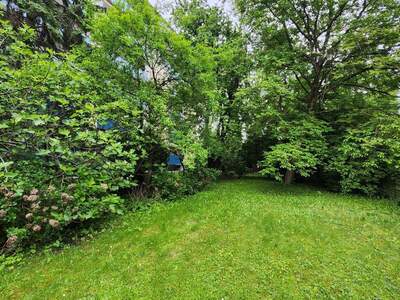 Grundstück kaufen in 8020 Graz (Bild 5)