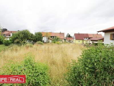 Grundstück kaufen in 3950 Gmünd