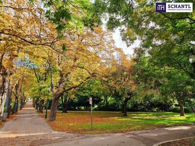 Wohnung kaufen in 1100 Wien (Bild 5)