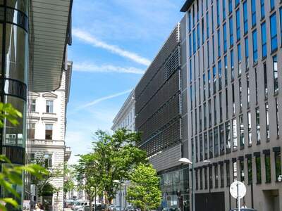 Gewerbeobjekt mieten in 1010 Wien (Bild 3)