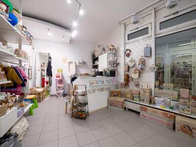 Büro / Praxis mieten in 4690 Schwanenstadt (Bild 3)