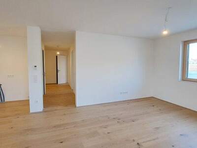 Terrassenwohnung kaufen in 7100 Neusiedl (Bild 5)