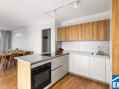 Terrassenwohnung mieten in 1200 Wien (Bild 1)