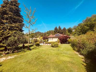 Haus kaufen in 4111 Walding