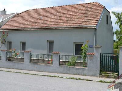 Haus mit Garten kaufen in 2402 Haslau (Bild 2)