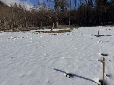 Grundstück provisionsfrei kaufen in 6232 Münster