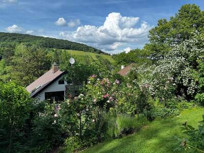 Haus provisionsfrei kaufen in 3420 Kritzendorf