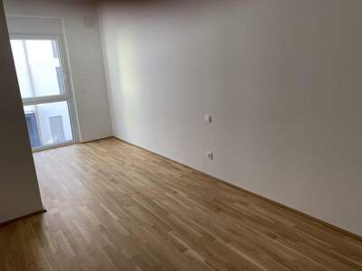 Terrassenwohnung mieten in 1220 Wien (Bild 3)