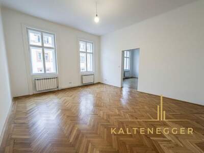 Altbauwohnung kaufen in 1090 Wien (Bild 1)