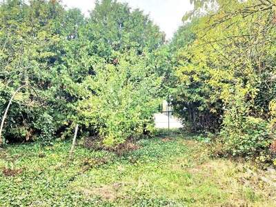 Grundstück kaufen in 7122 Gols