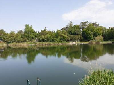 Haus kaufen in 2333 Leopoldsdorf