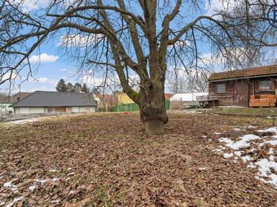 Grundstück kaufen in 2014 Dietersdorf (Bild 5)