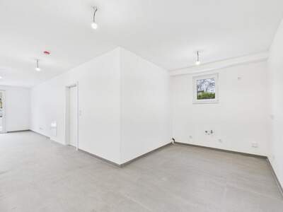Gewerbeobjekt kaufen in 1230 Wien (Bild 5)