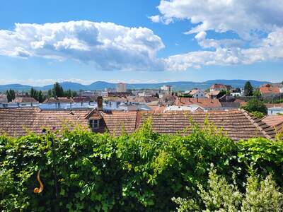 Terrassenwohnung kaufen in 3500 Krems (Bild 1)