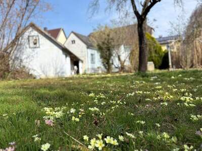 Haus kaufen in 3375 Krummnußbaum