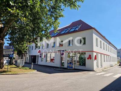 Anlageobjekt kaufen in 2514 Traiskirchen (Bild 1)