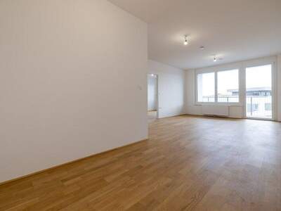 Terrassenwohnung mieten in 2700 Wr. Neustadt (Bild 5)