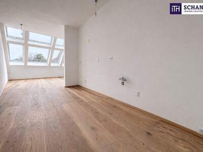 Terrassenwohnung kaufen in 2514 Traiskirchen (Bild 3)