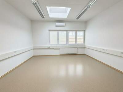 Gewerbeobjekt mieten in 9300 St. Veit (Bild 3)