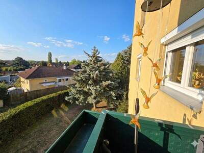 Terrassenwohnung kaufen in 2301 Groß (Bild 3)