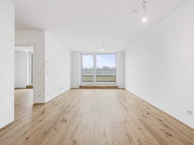 Terrassenwohnung kaufen in 2540 Bad Vöslau (Bild 2)