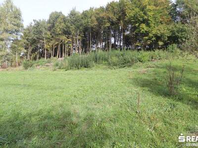 Grundstück kaufen in 9072 Ludmannsdorf (Bild 5)