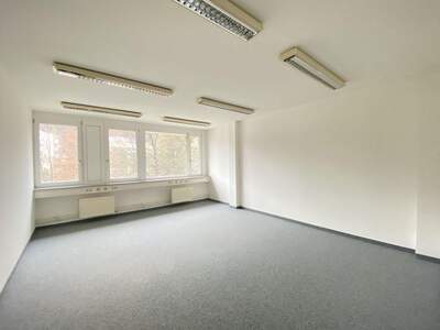 Gewerbeobjekt mieten in 5020 Salzburg (Bild 2)