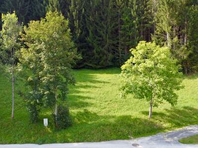 Grundstück kaufen in 8962 Gröbming (Bild 2)