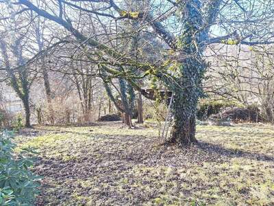 Grundstück kaufen in 4209 Außertreffling