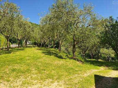 Haus kaufen in 54016 Ripola (Bild 5)