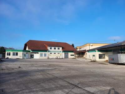 Immobilie kaufen in 4680 Haag