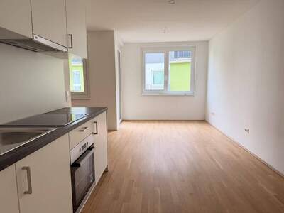 Wohnung mieten in 1230 Wien