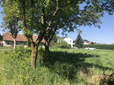 Grundstück kaufen in 8472 Obervogau (Bild 4)