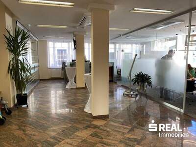 Wohnanlage kaufen in 4120 Neufelden (Bild 5)