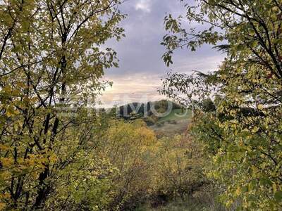 Grundstück kaufen in 2103 Langenzersdorf