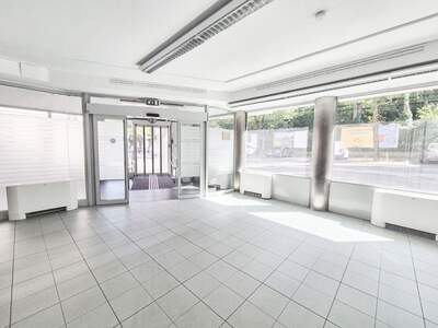 Gewerbeobjekt mieten in 1190 Wien (Bild 1)