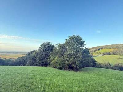 Gewerbeobjekt kaufen in 3433 Königstetten