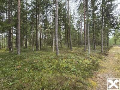Gewerbeobjekt kaufen in 9143 St. Michael