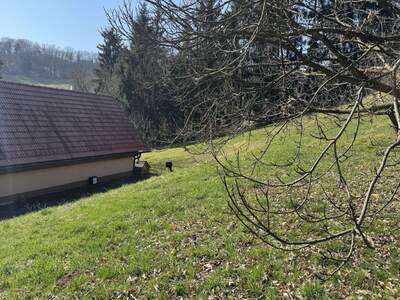Haus mit Garten mieten in 8472 Spielfeld (Bild 4)
