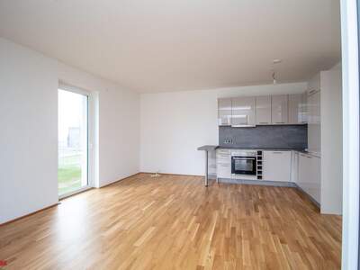 Wohnung mieten in 4641 Steinhaus (Bild 4)