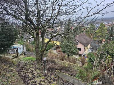 Einfamilienhaus kaufen in 3433 Königstetten (Bild 3)