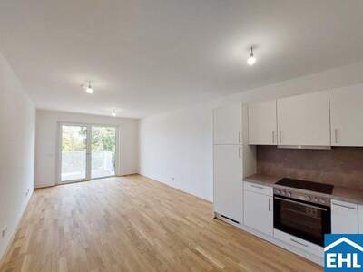 Terrassenwohnung mieten in 1110 Wien (Bild 1)