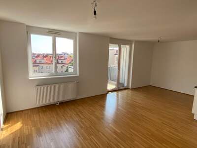 Apartment provisionsfrei mieten in 1100 Wien