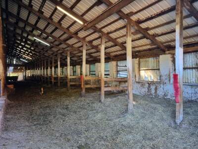 Bauernhaus kaufen in 4294 St. Leonhard (Bild 5)